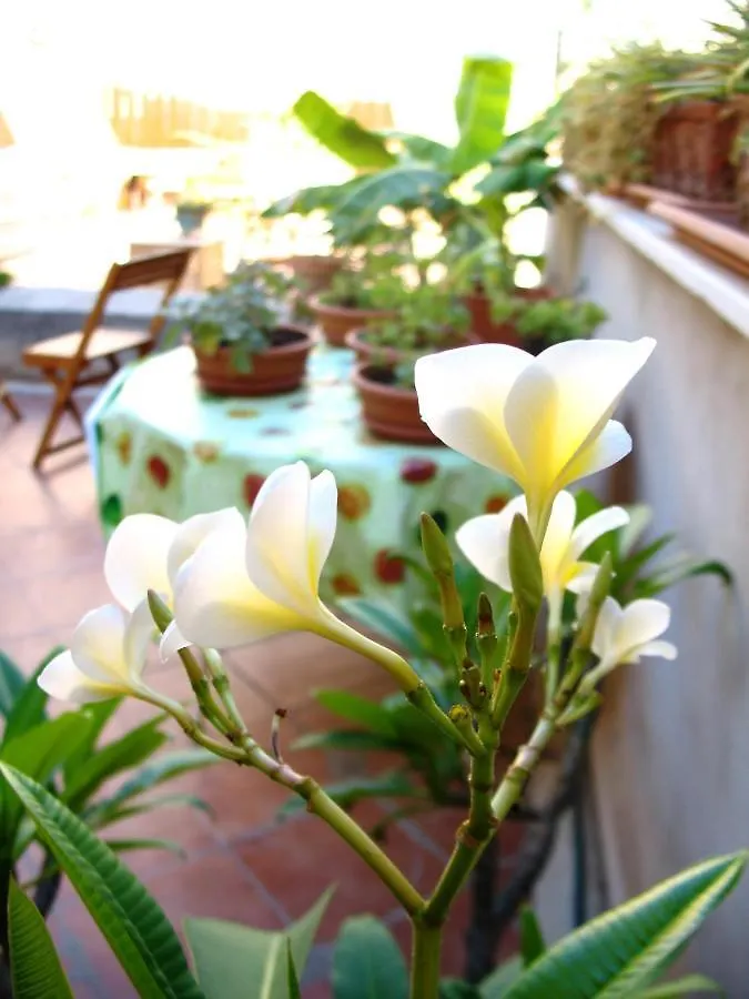 La Casa Di Marzapane Bed and Breakfast Palermo Italien